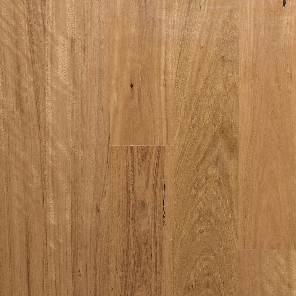 Blackbutt 135