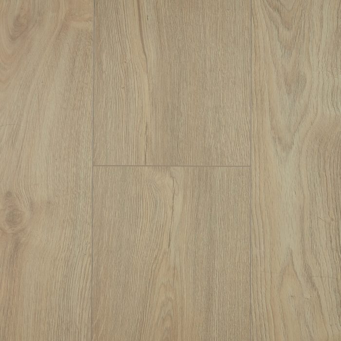 Elegant D40461