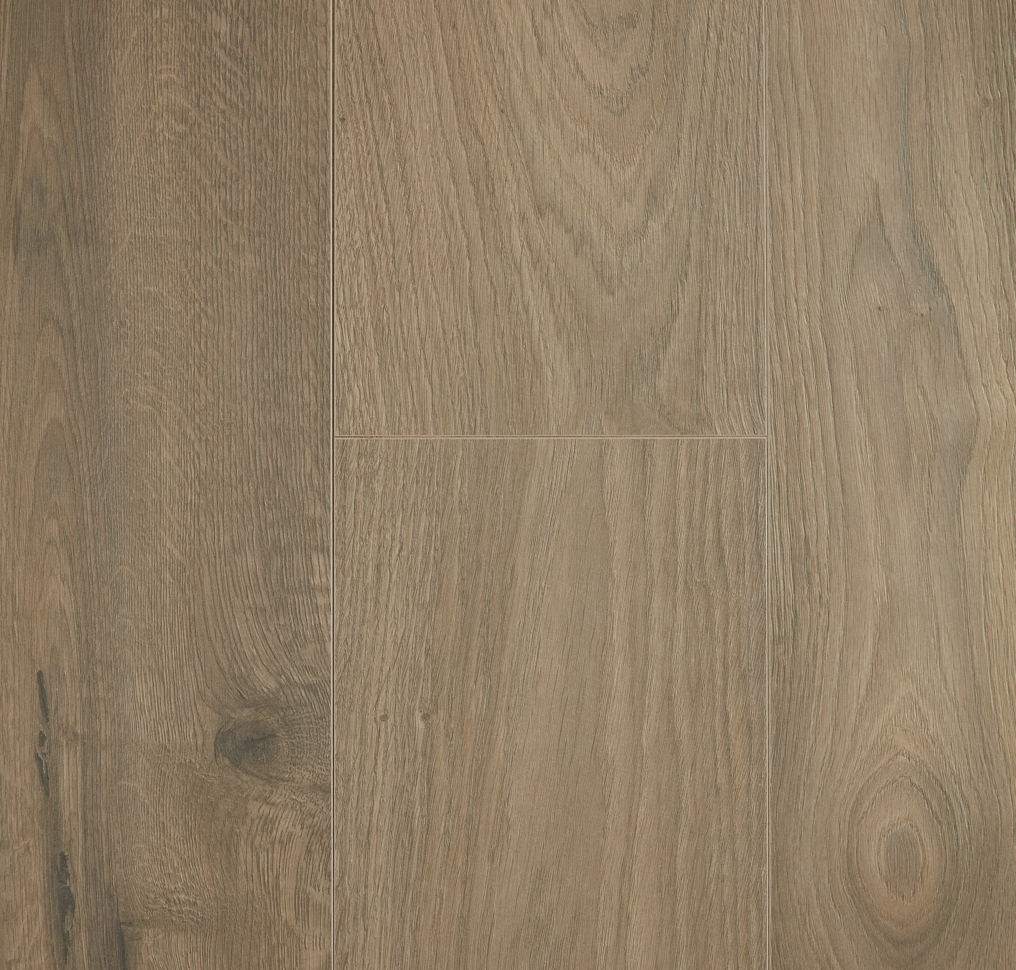 Forest D7093