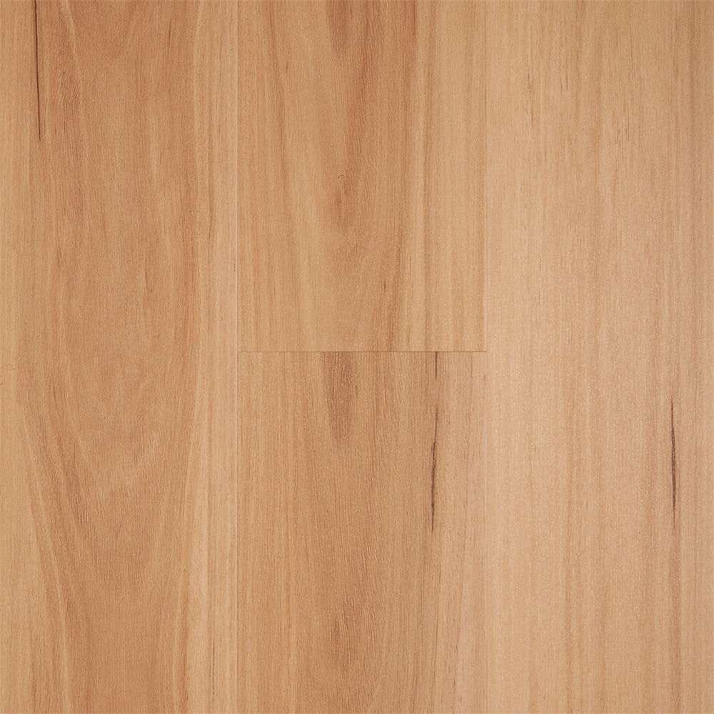 Coastal Blackbutt Latte