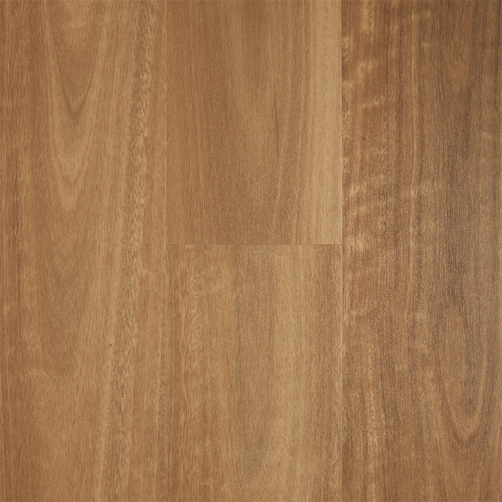 NSW Spotted Gum