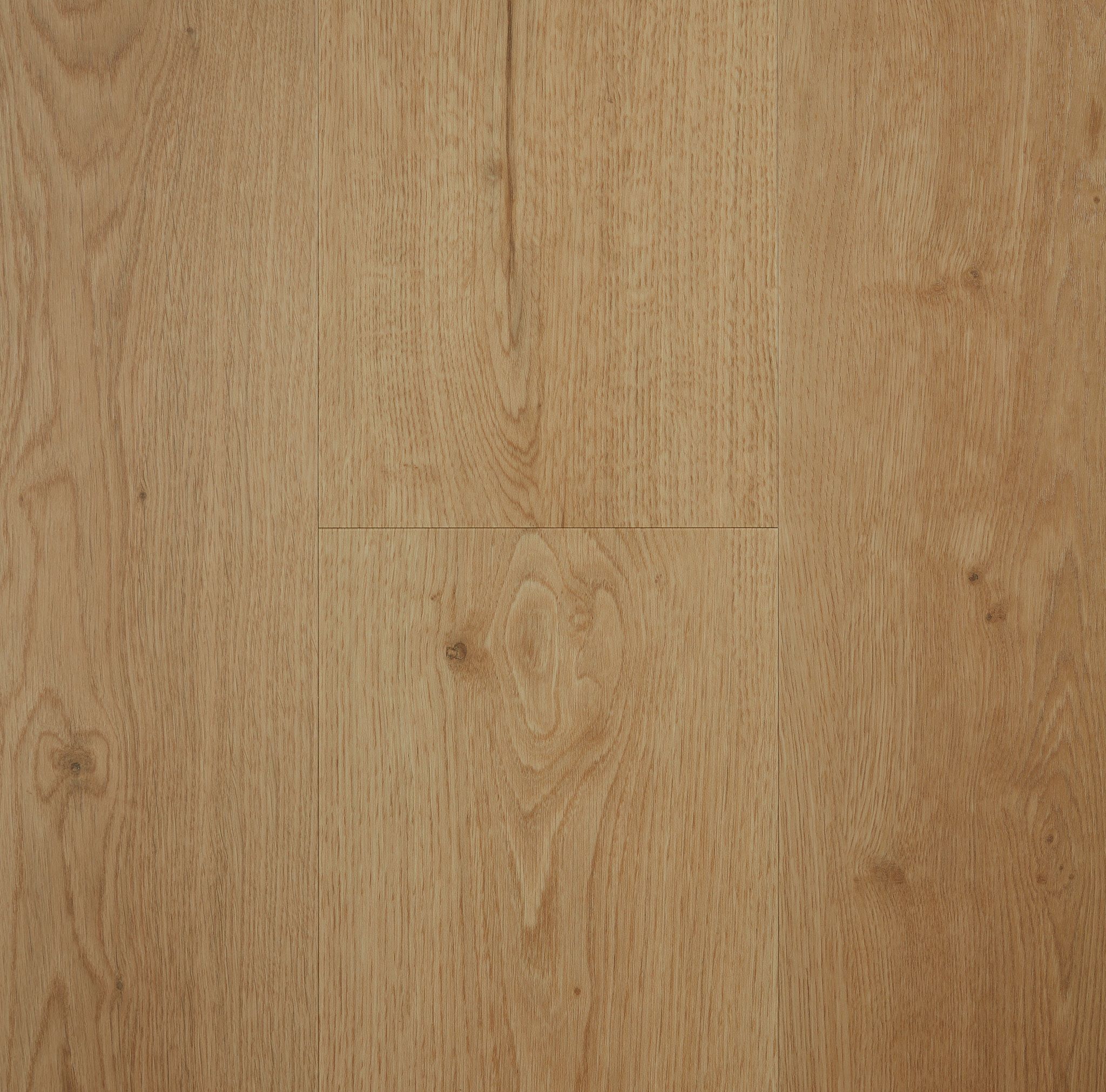 Mountain Oak