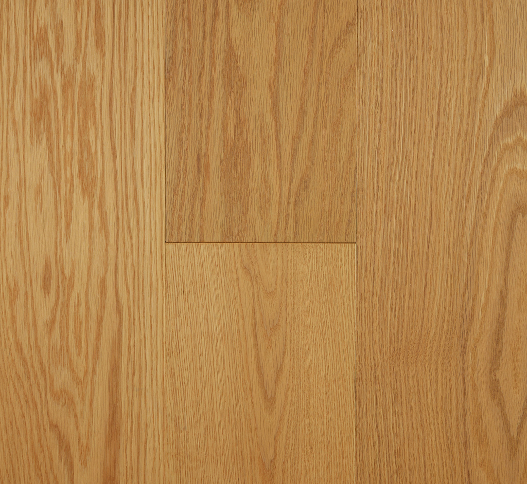 Forest Oak - Red Oak Blackbutt