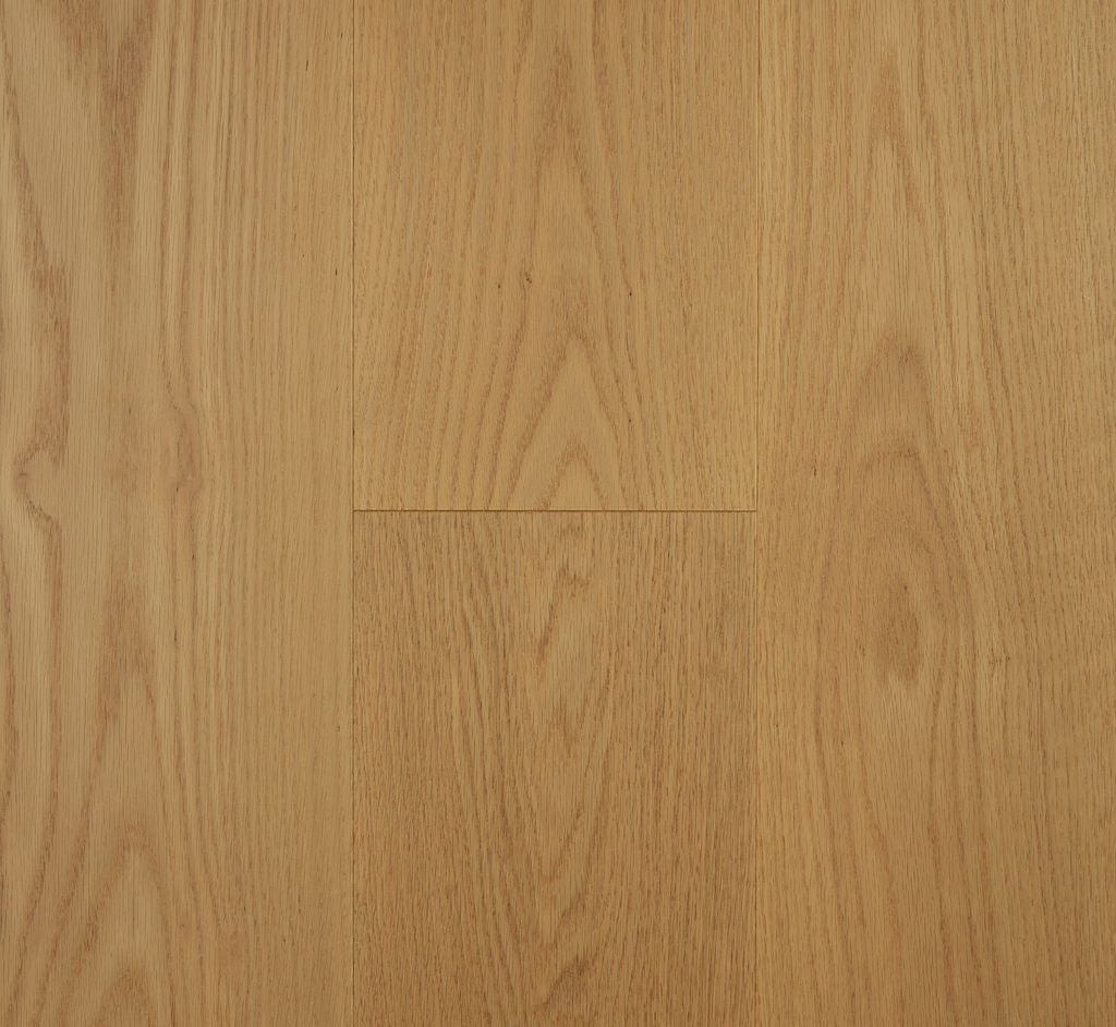 Golden Bloom - Red Oak Blackbutt