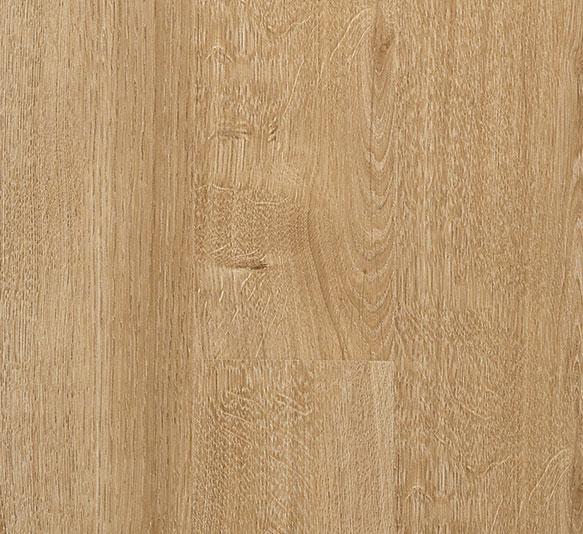 European Oak Ghost