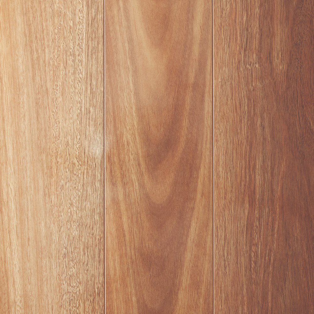 Mtn Spotted Gum