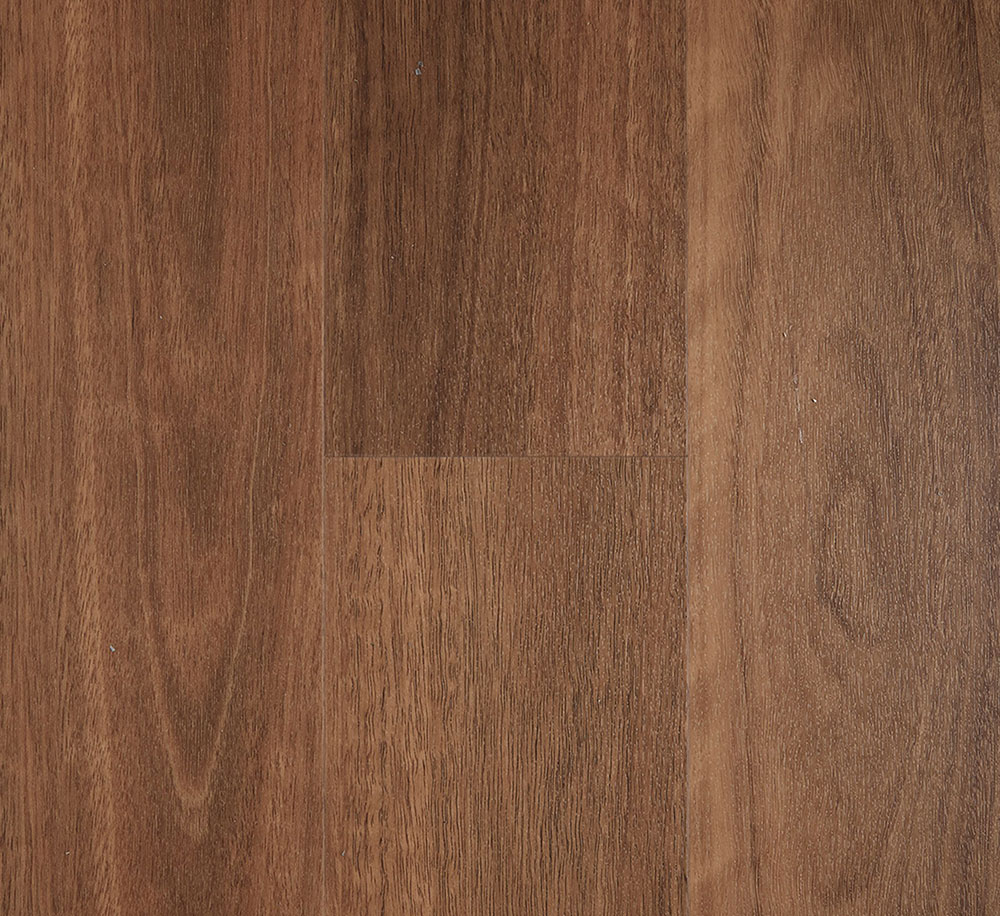 2.5mm QLD Spotted