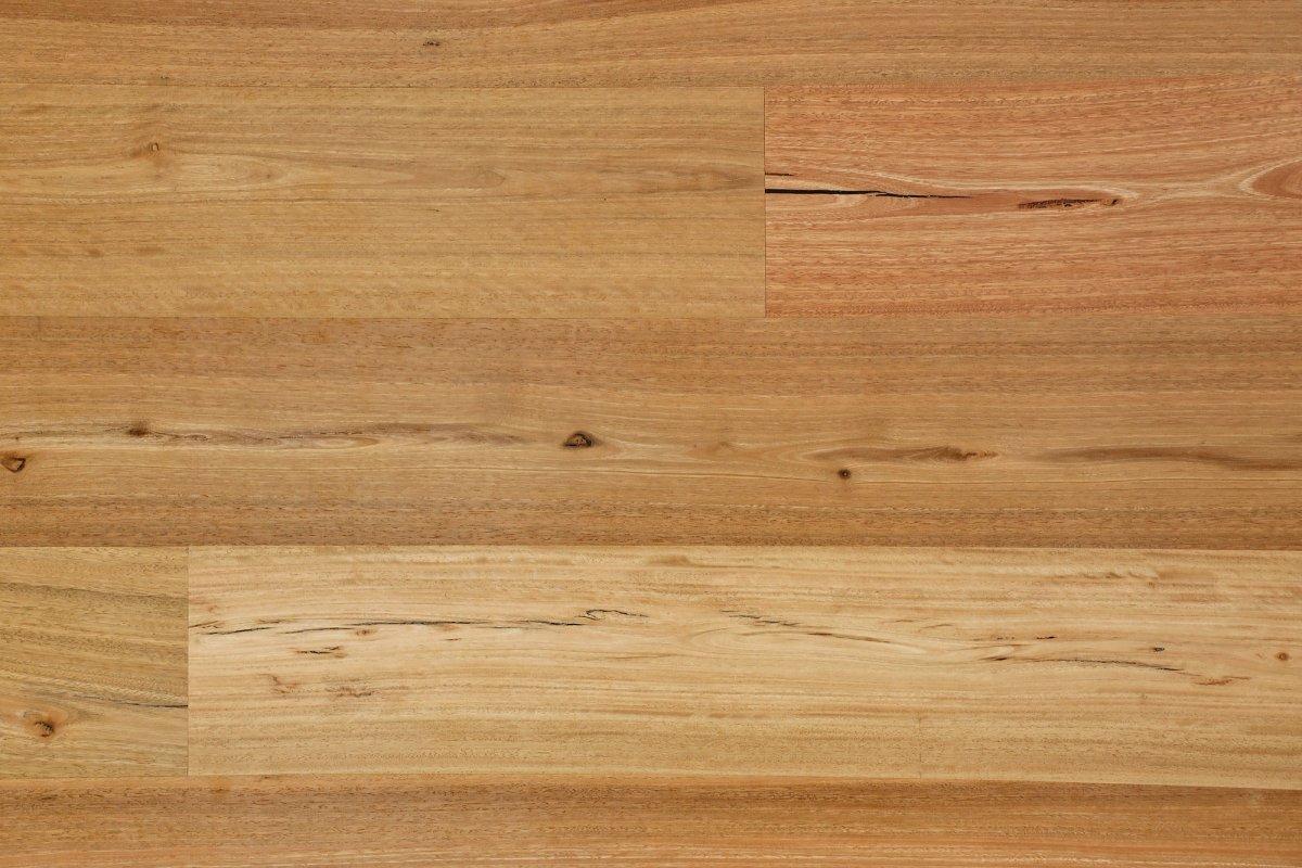 Spotted Gum Feature Brush finish
