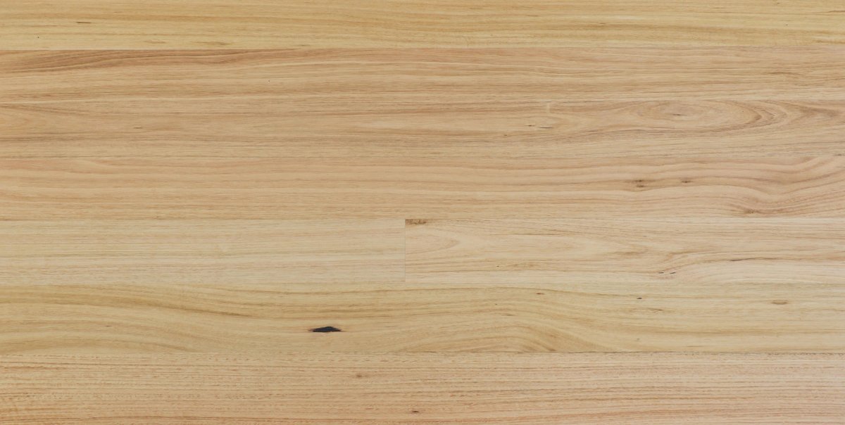 Tasmanian Oak