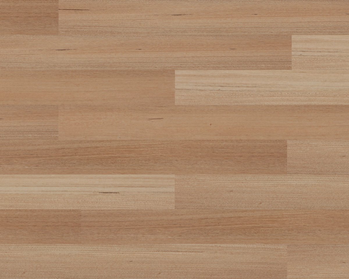 Tasmanian Oak