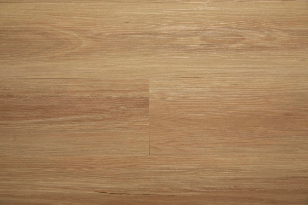 Blackbutt