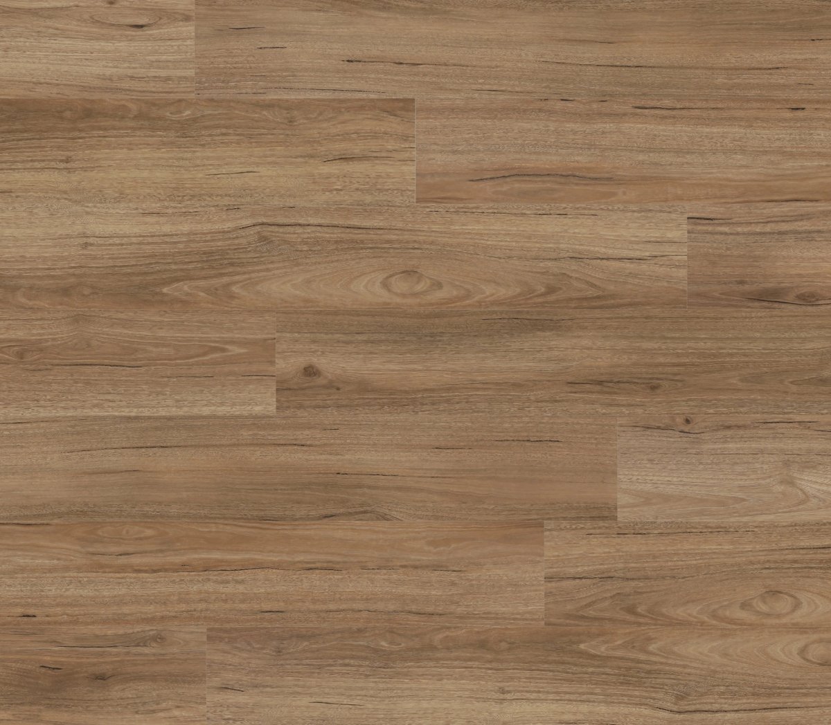 Coastal Spotted Gum Super 95