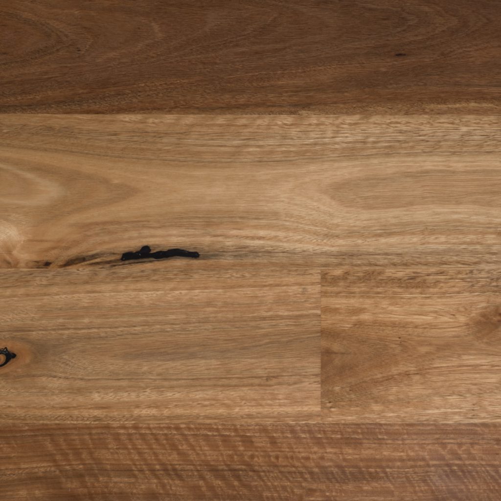 Spotted Gum - Matt & Brushed