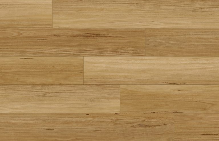 Blackbutt