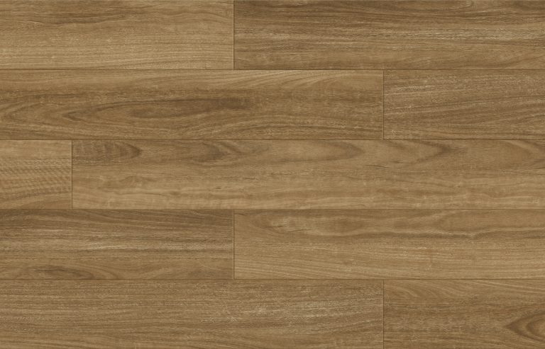 Spotted Gum