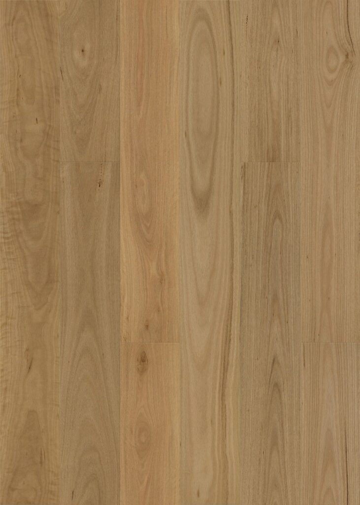 Brushed Blackbutt