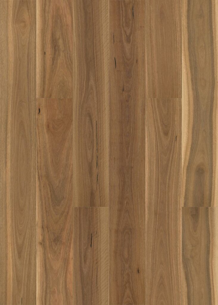 Brushed Spotted Gum