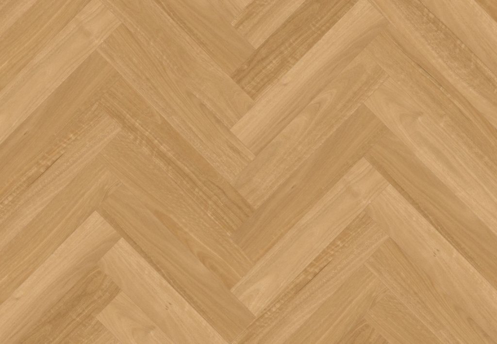 Australian Blackbutt