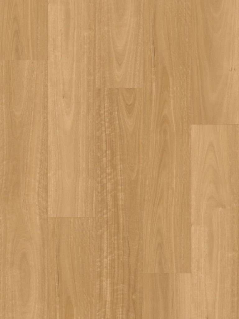 Australian Blackbutt
