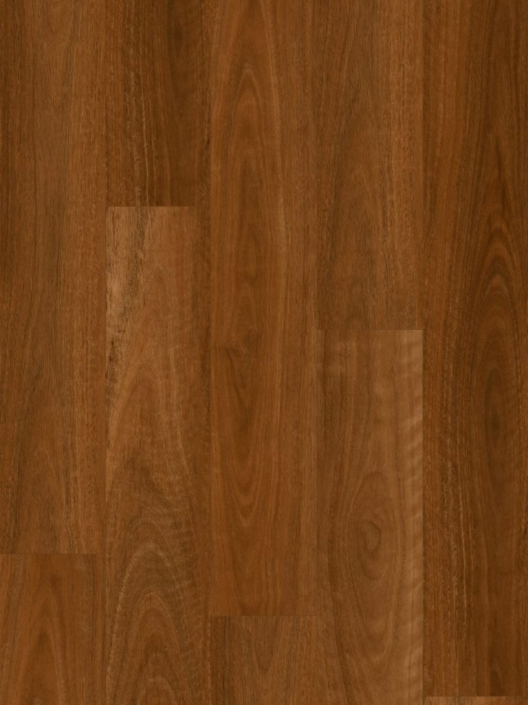 Australian Spotted Gum