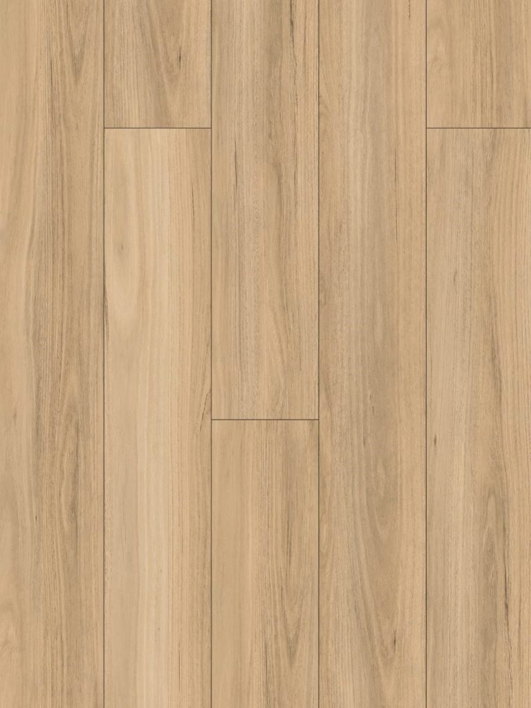 NSW Blackbutt