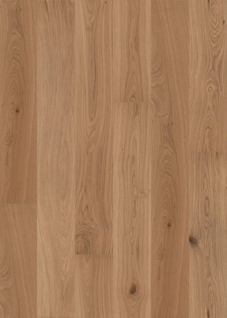 Fawn Oak