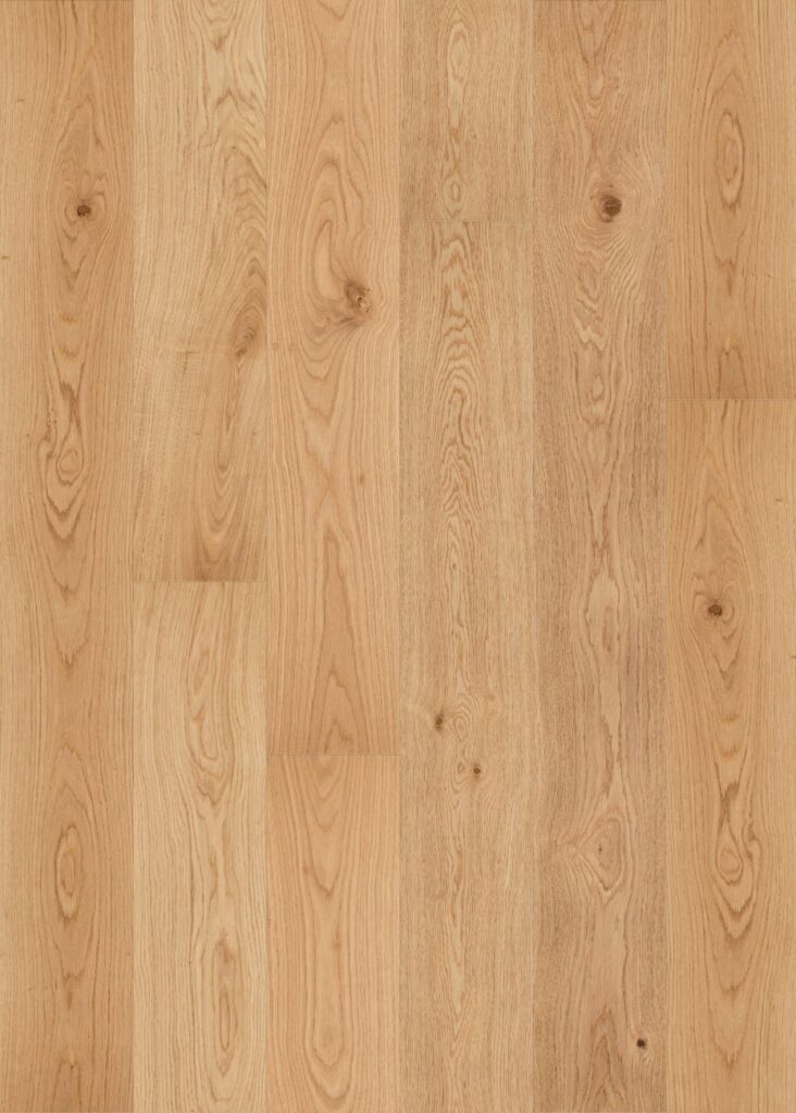 Maison Beige