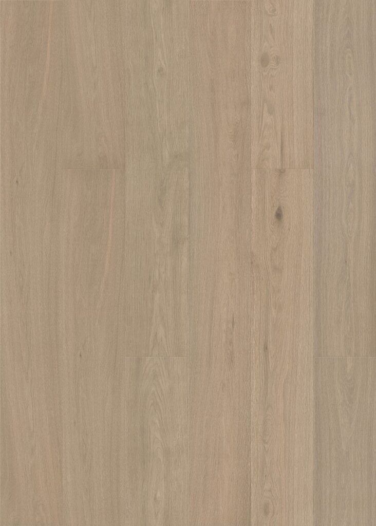 Terrace Grey