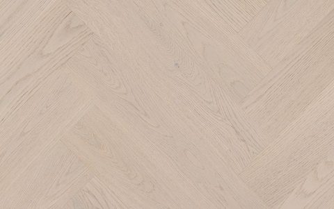 Canterbury Oak