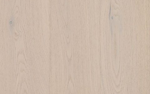 Canterbury Oak