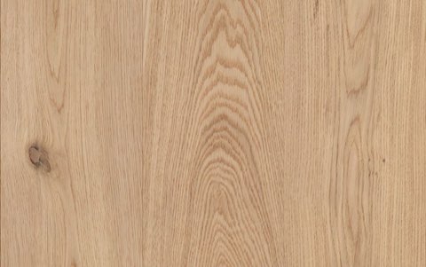 Danish Oak