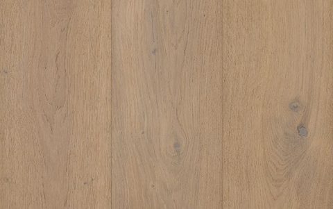 Prescott Oak