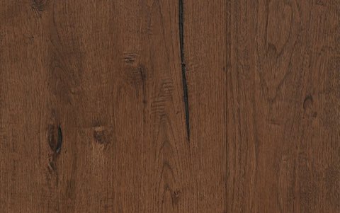 Chestnut