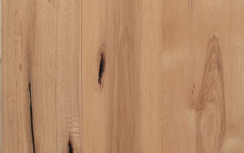 Nutmeg