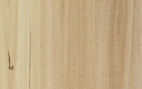 Blackbutt
