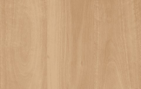 Inland Blackbutt - NEW