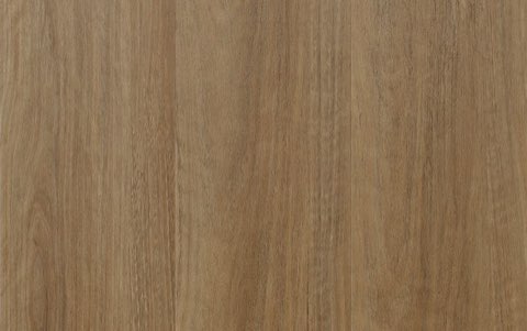 Country Spotted Gum