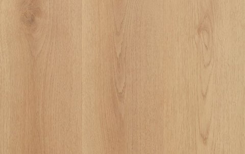 Macadamia