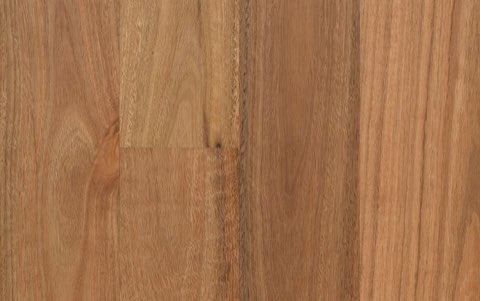 Spotted Gum (2130)