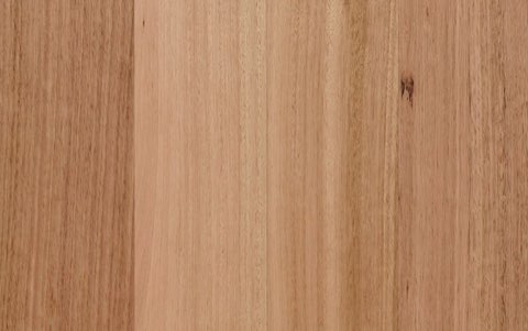 Tasmanian Oak (2130)