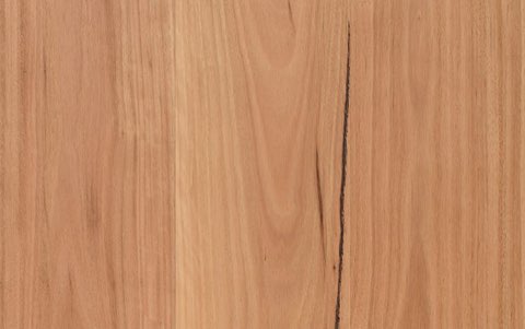 Coastal Blackbutt (1820)