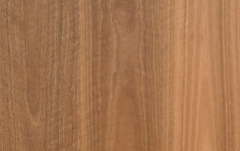 Spotted Gum (2130)