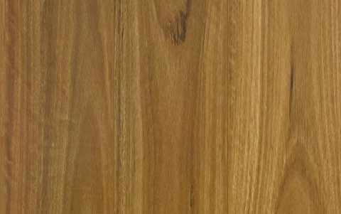 Bushland Spotted Gum