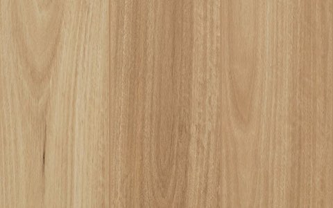 Mid Coast Blackbutt