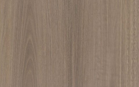 Riverland Spotted Gum