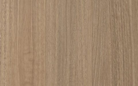 Drover Spotted Gum