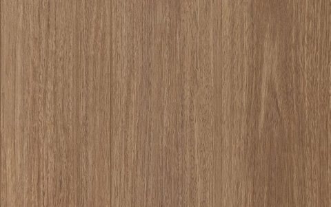 Honey Blackbutt