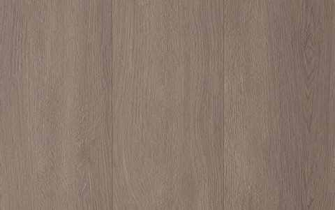 Mushroom Grey