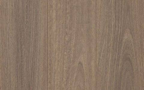 Pepper Spotted Gum