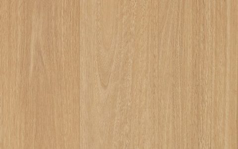Mawson Blackbutt